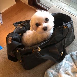 Petote Metro Couture Bag (pet carrier) Never Used
